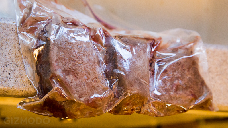 Illustration for article titled Anova Precision Cooker
Review: Killer Sous Vide for Everyone